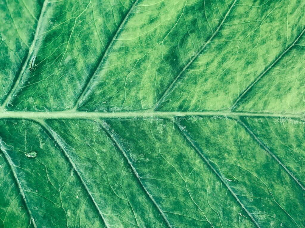 diagonal-lines-zack-smith-fyByNyGM52k-unsplash
