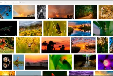 Adobe Stock AI Generated