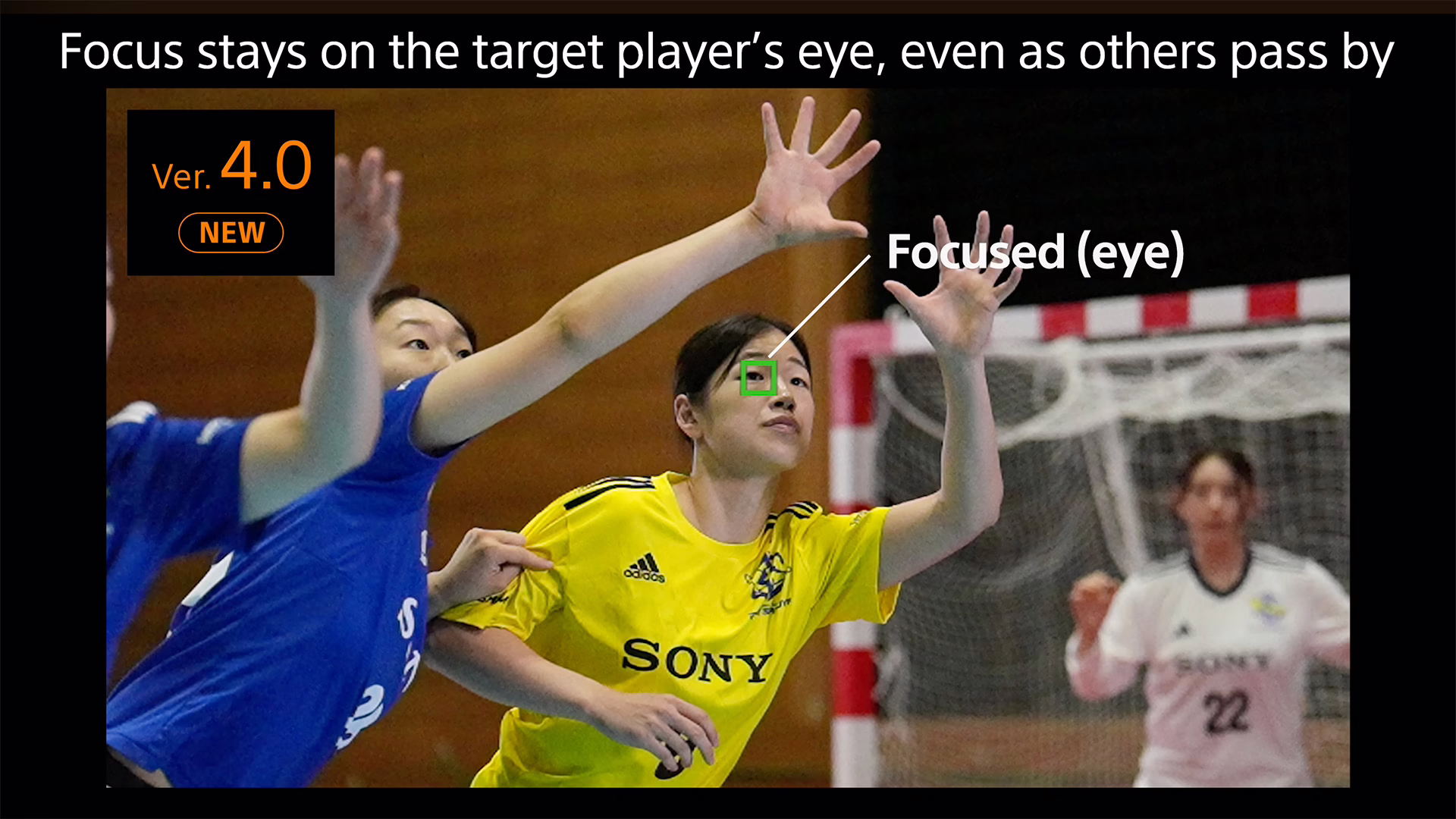 Sony firmware 4.0 Sony firmware 4.0