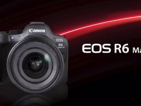 Canon R6 Mark III Release Date